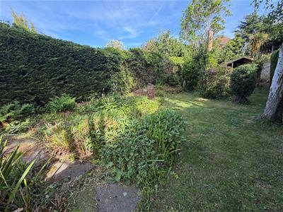 Picture 20